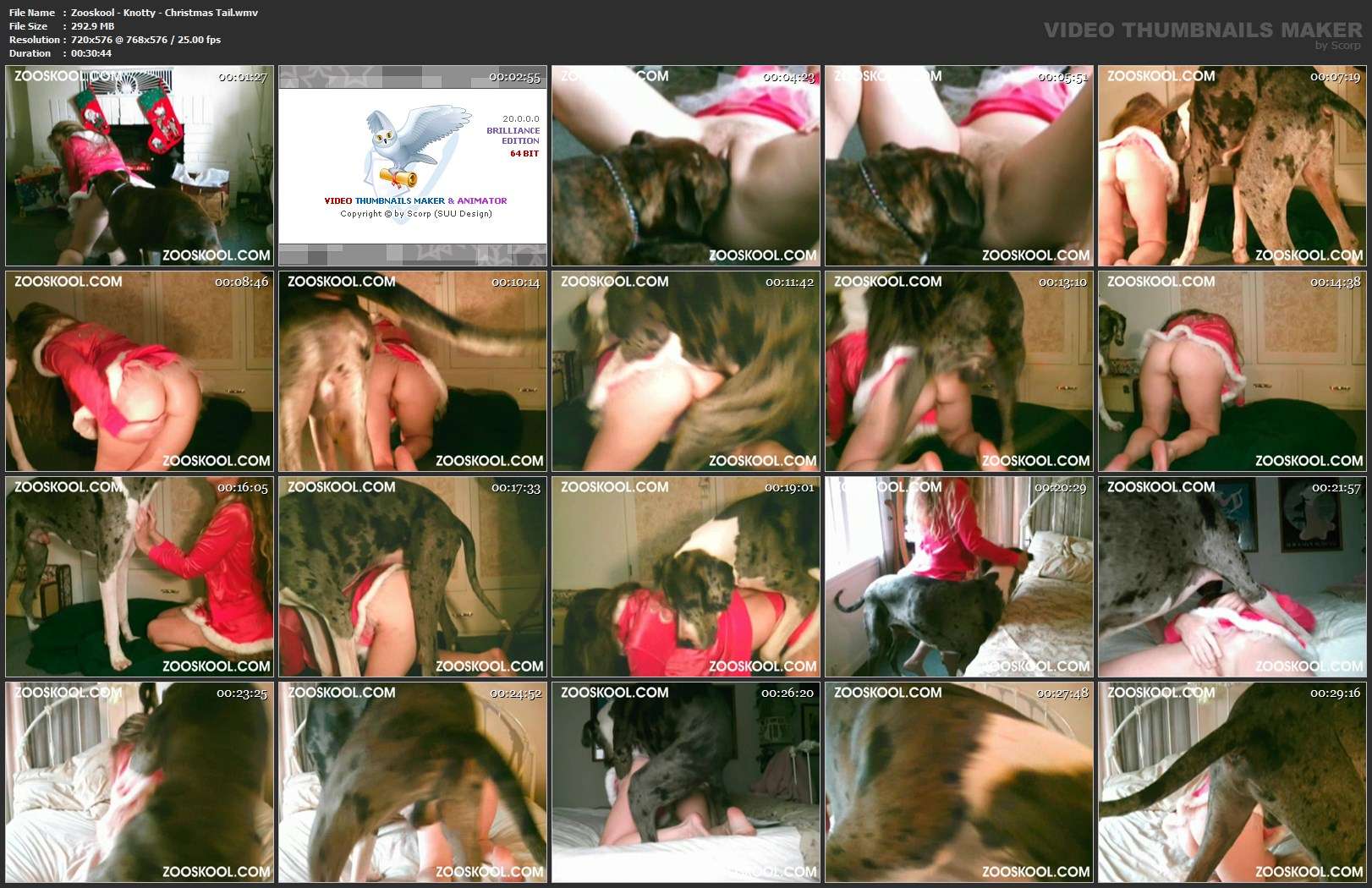 pinto de cavalo fodas com animais sexo bizarro ZOO pornô com animais. vídeos gratuitos de bestialidade sexo bizarro site de tubo de sexo zoo animal Raven, DogWoman, Alison, Yasmin, Gisele, Vixen, Cupcake, Lise, Sonia Zoofilia